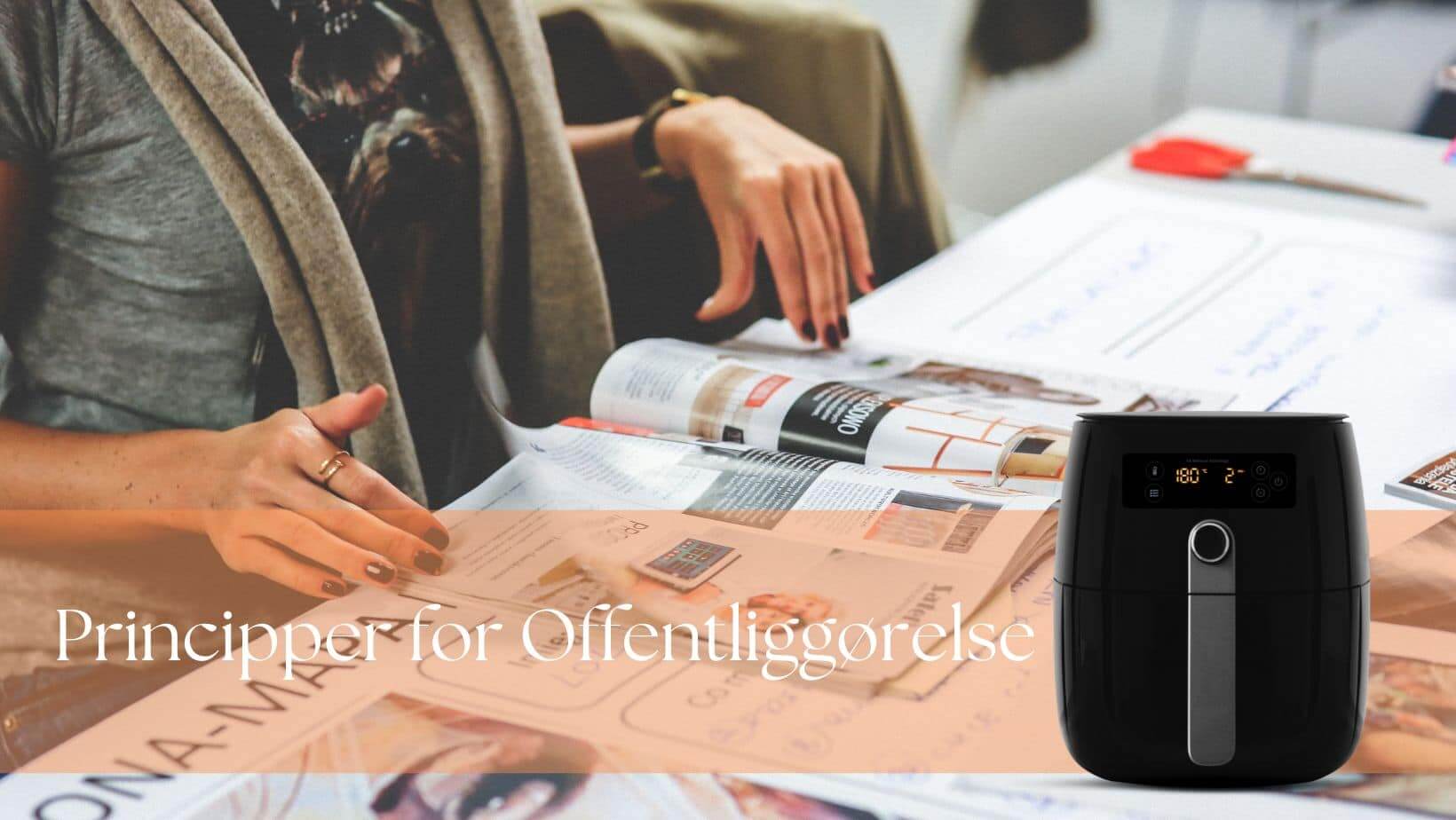 Principper for Offentliggørelse på webside airfryerkogebogen dk