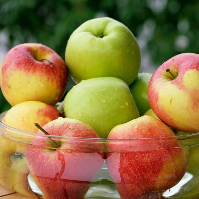 Äpplen i många färger och äppelsorter
