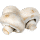 Champignon ikon