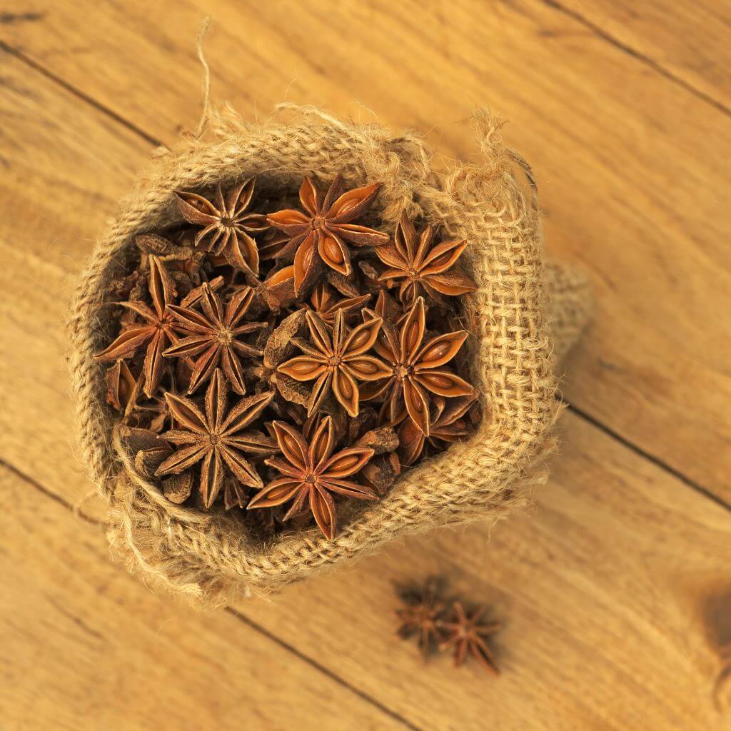 Stjerneanis tørret som krydderi 