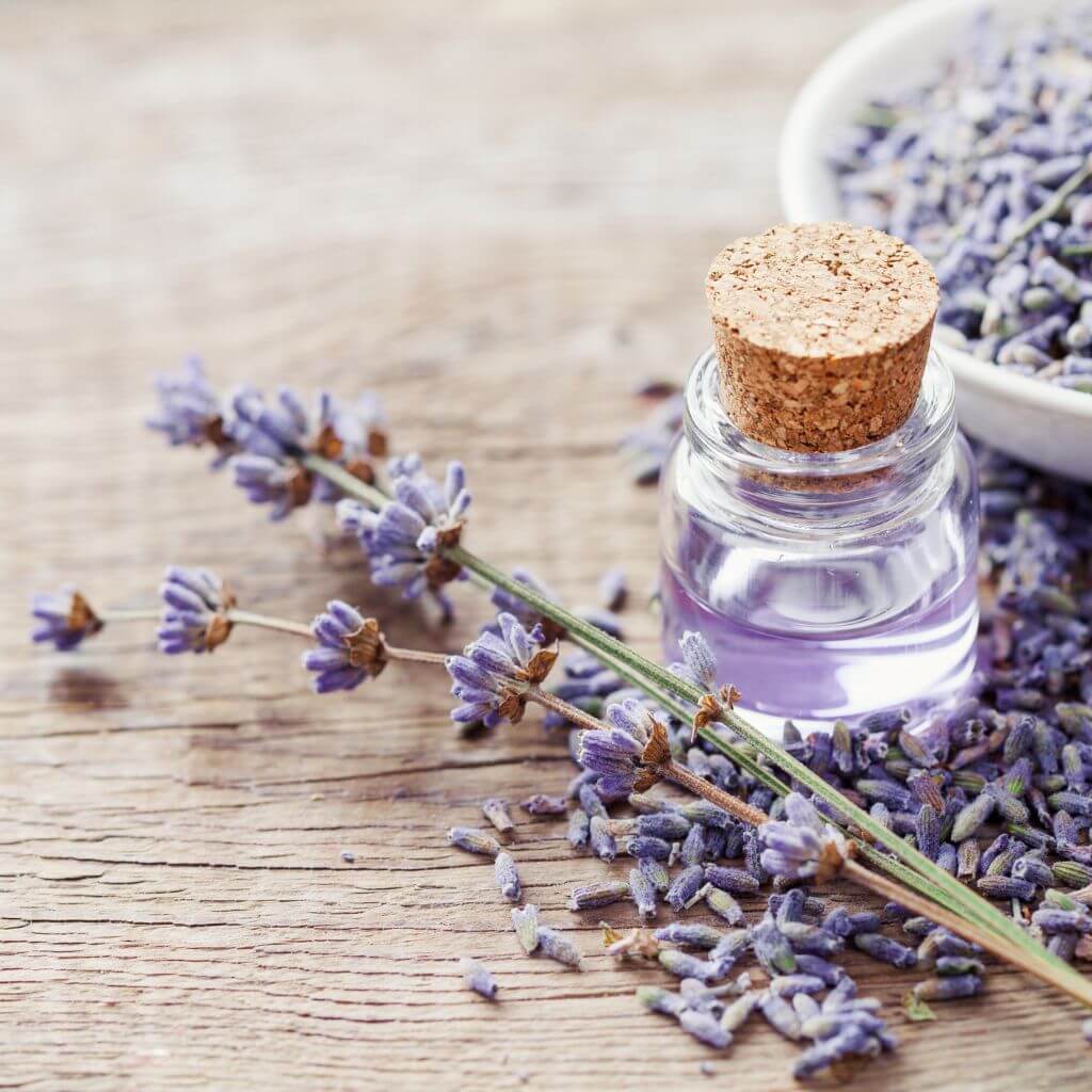 Lavendel som krydderi