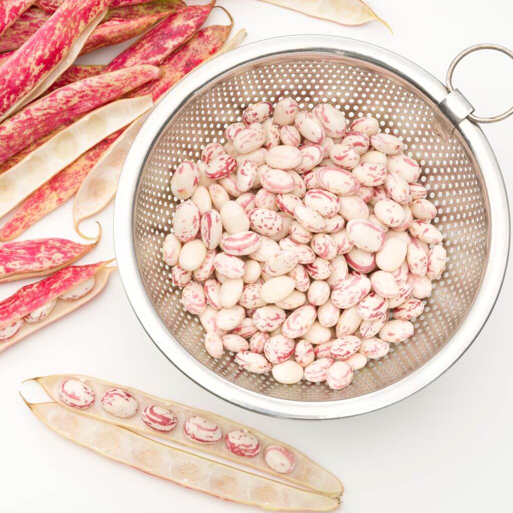 Borlottibønner i skål og som hele bønner