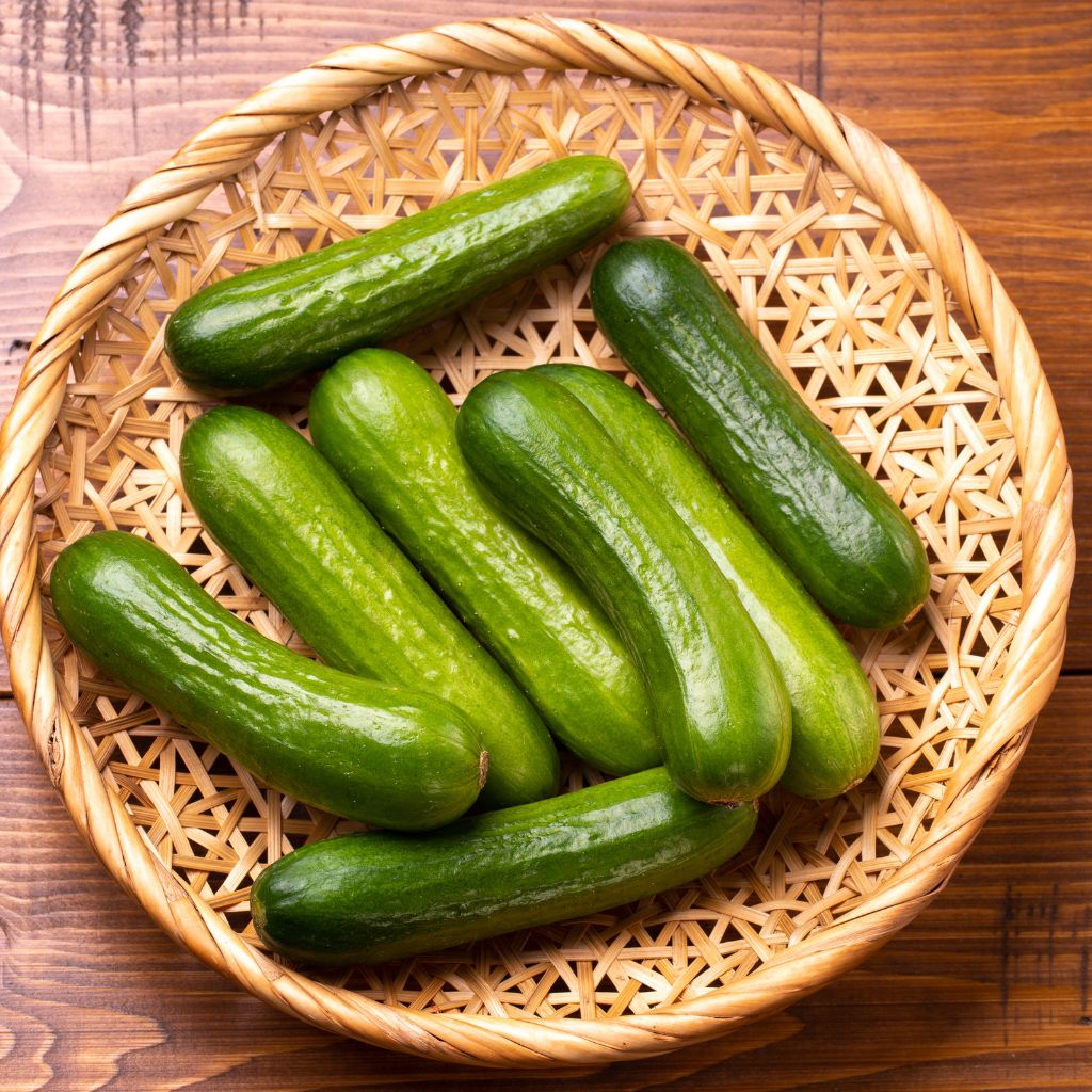 Agurk flere lagt sammen i en lille kurv med agurker