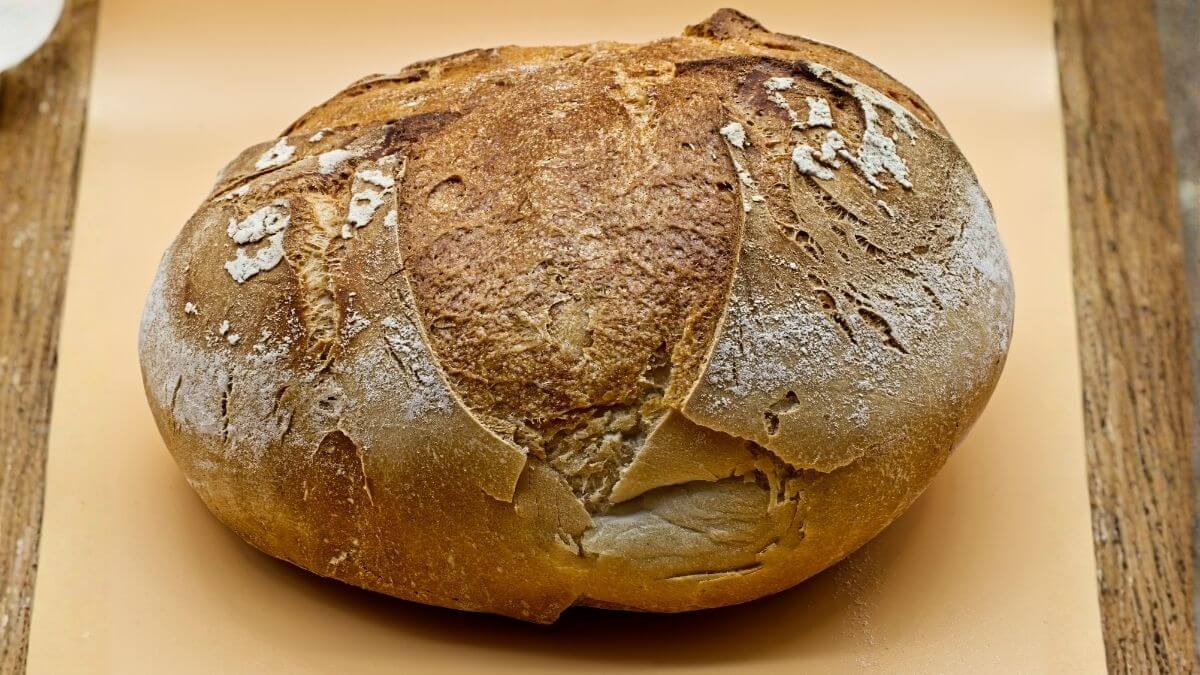 Rustic Italian country bread with a dark, crispy crust and airy crumb