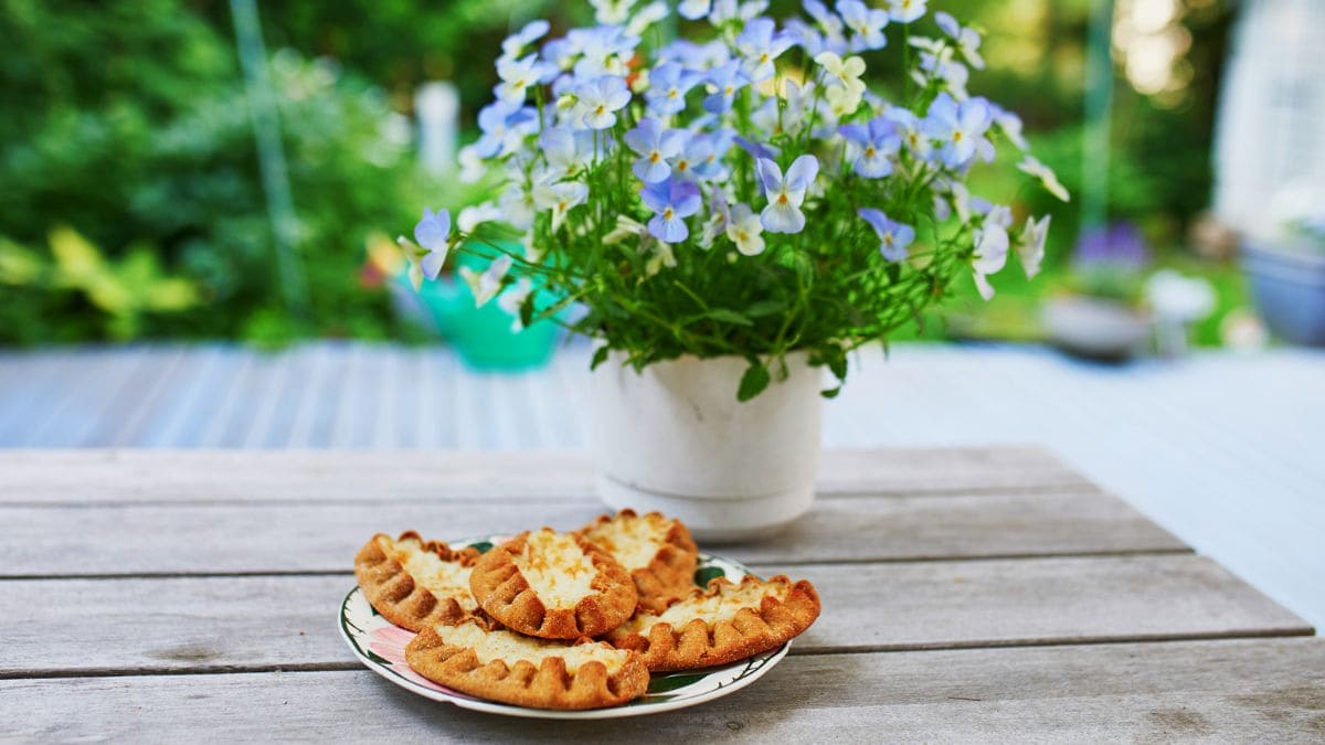 Dette er en af Finlands mest ikoniske desserter, Karjalanpiirakka, som er pirogger af rugmelsdej fyldt med risgrød.
