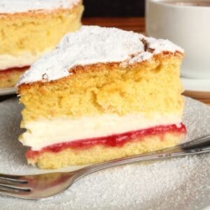 Victoria Sponge Cake bagt i min airfryer
