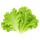 frisk salat ikon