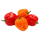scotch bonnet chili ikon