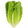 sprød salat ikon