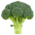 broccoli ikon